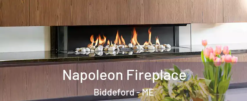  Napoleon Fireplace Biddeford - ME
